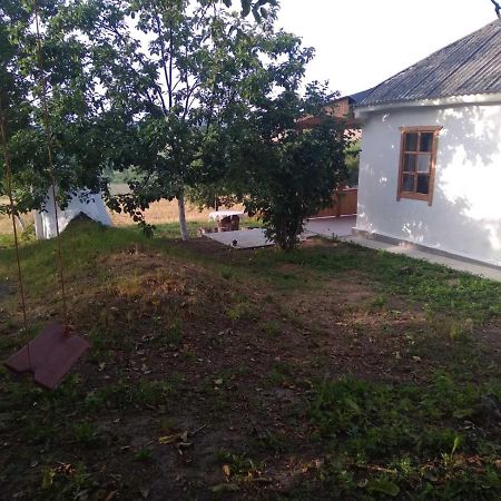 Соколине Гніздо Villa Dmitrenki ภายนอก รูปภาพ