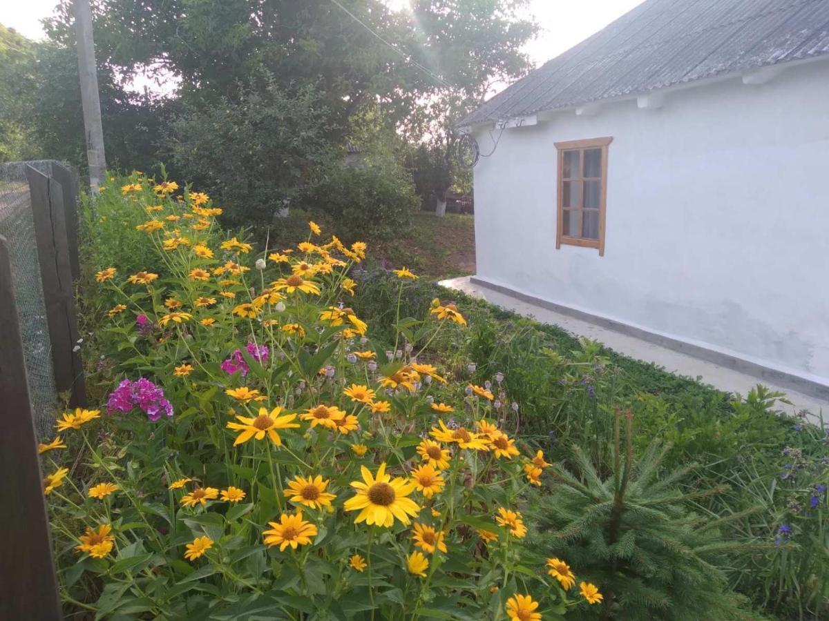 Соколине Гніздо Villa Dmitrenki ภายนอก รูปภาพ