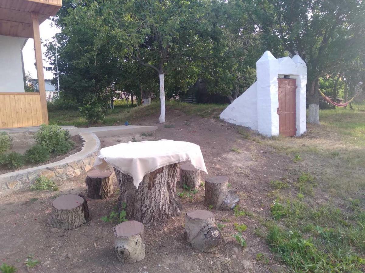 Соколине Гніздо Villa Dmitrenki ภายนอก รูปภาพ