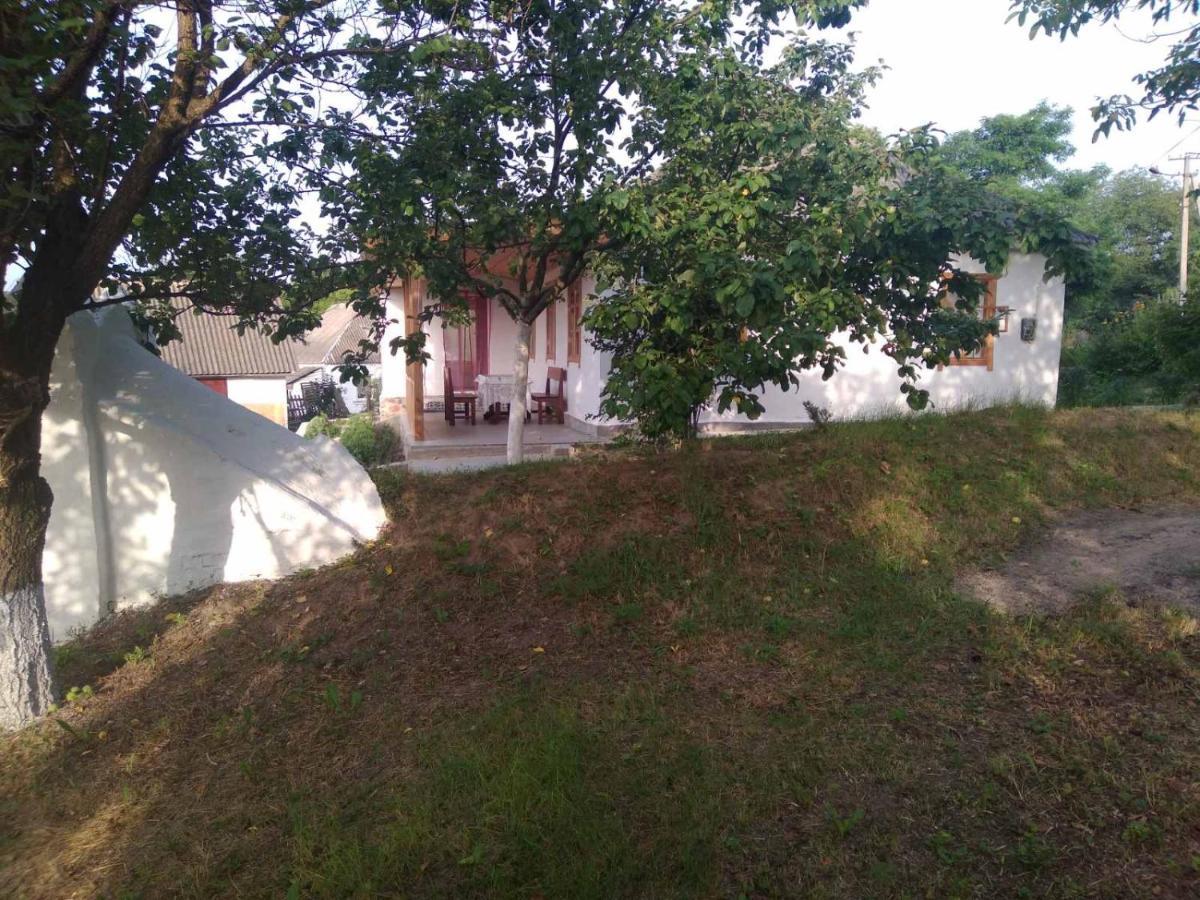 Соколине Гніздо Villa Dmitrenki ภายนอก รูปภาพ